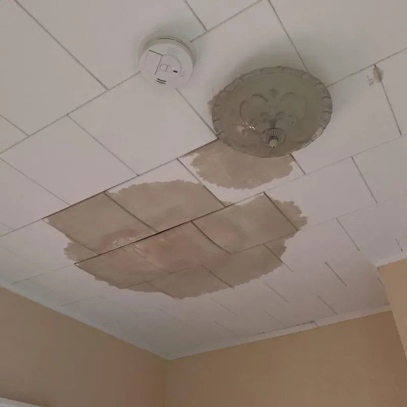 Ceiling Water Damage Repair in Davidson County, NC