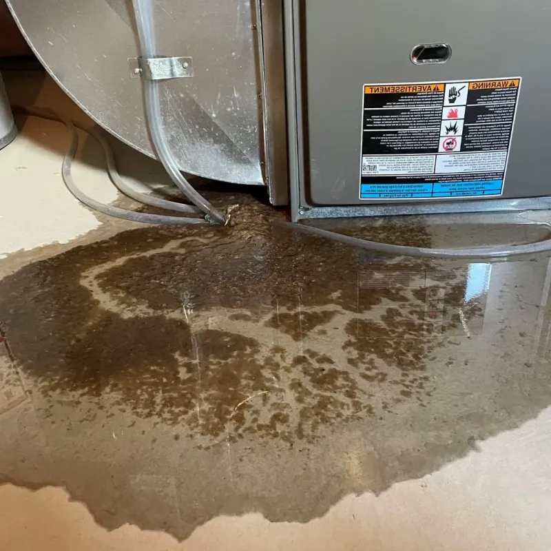 Pipe Burst and Leak Restoration in Davidson County, NC