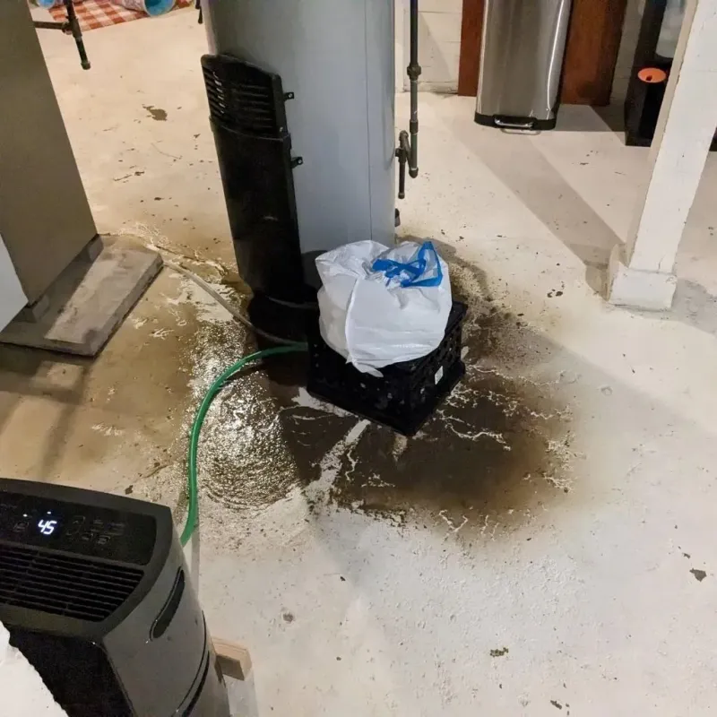Sewage Backup Cleanup Service in Davidson County, NC